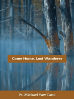 Come Home, Lost Wanderer