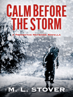 Calm Before the Storm: A Provectus Network Novella