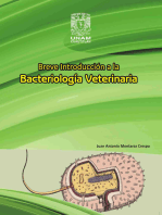 Breve introducción a la bacteriología veterinaria