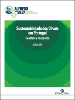 Sustentabilidade dos Olivais em Portugal: Desafios e respostas