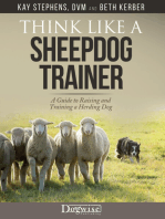Think Like A Sheepdog Trainer: A Guide to Raising and Training a Herding Breed