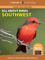 All About Birds Southwest