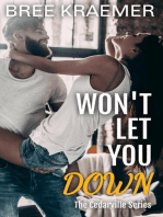 Won't Let You Down: A Cedarville Novel, #8