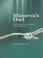 Minerva's Owl