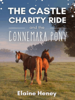 The Castle Charity Ride and the Connemara Pony - The Coral Cove Horses Series: Coral Cove Horse Adventures for Girls and Boys, #4