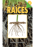 Raíces: Roots