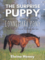 The Surprise Puppy and the Connemara Pony - The Coral Cove Horses Series: Coral Cove Horse Adventures for Girls and Boys, #3
