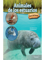 Animales de los estuarios