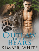 Outlaw of the Bears: Wild Ridge Bears, #2