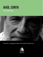 Raúl Zurita: En Breve