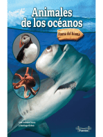 Animales de los océanos: Ocean Animals
