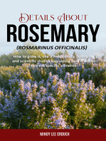 Details About Rosemary (Rosmarinus Officinalis): How to Grow It, Use it Medicinally, Culinarily and Scientific Studies Explaining How it Works to Treat Specific Ailments