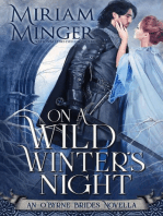 On A Wild Winter's Night