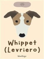 Whippet (Levriero)