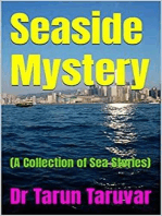Seaside Mystery