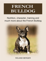 French Bulldog: Nutrition, character, training and much more about the French Bulldog