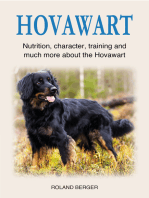 Hovawart: Nutrition, character, training and much more about the Hovawart
