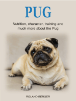 Pug: Nutrition, character, training and much more about the Pug