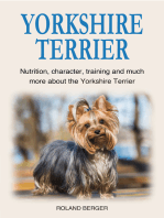 Yorkshire Terrier: Nutrition, character, training and much more about the Yorkshire Terrier