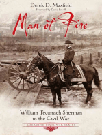 Man of Fire: William Tecumseh Sherman in the Civil War