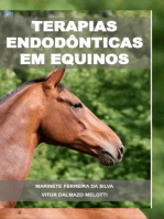 Terapias Endodônticas Em Equinos