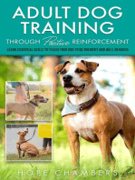Adult Dog Training Through Positive Reinforcement