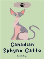 Canadian Sphynx Gatto