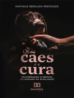 Os cães e a cura