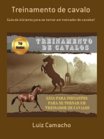 Treinamento De Cavalo