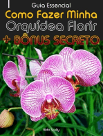 Como Fazer Minha Orquídea Florir