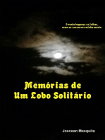 Memórias De Um Lobo Solitário