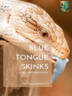 Blue Tongue Skinks: A Beginner's Guide to Keeping and Caring for Your New Pet