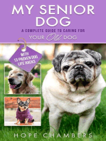 My Senior Dog: A Complete Guide to Caring for Your Old Dog