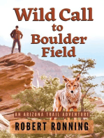 Wild Call to Boulder Field: An Arizona Trail Adventure