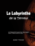 Le Labyrinthe de la Terreur: Une Collection d'Histoires sur les Tueurs en Série, les Mystères et les Cauchemars qui Mettront Votre Santé Mentale à l'Épreuve - Histoires d'Horreur en Français