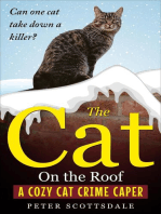 The Cat On the Roof