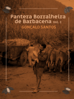 Pantera Borralheira De Barbacena - Contos