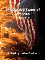The Divided States of America: Stories 5-8