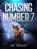 Chasing Number 7