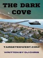 The Dark Cove: Targeted Individual Fiction