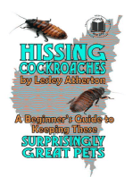 Hissing Cockroaches: A Beginner's Guide to Keeping These Surprisingly Great Pets