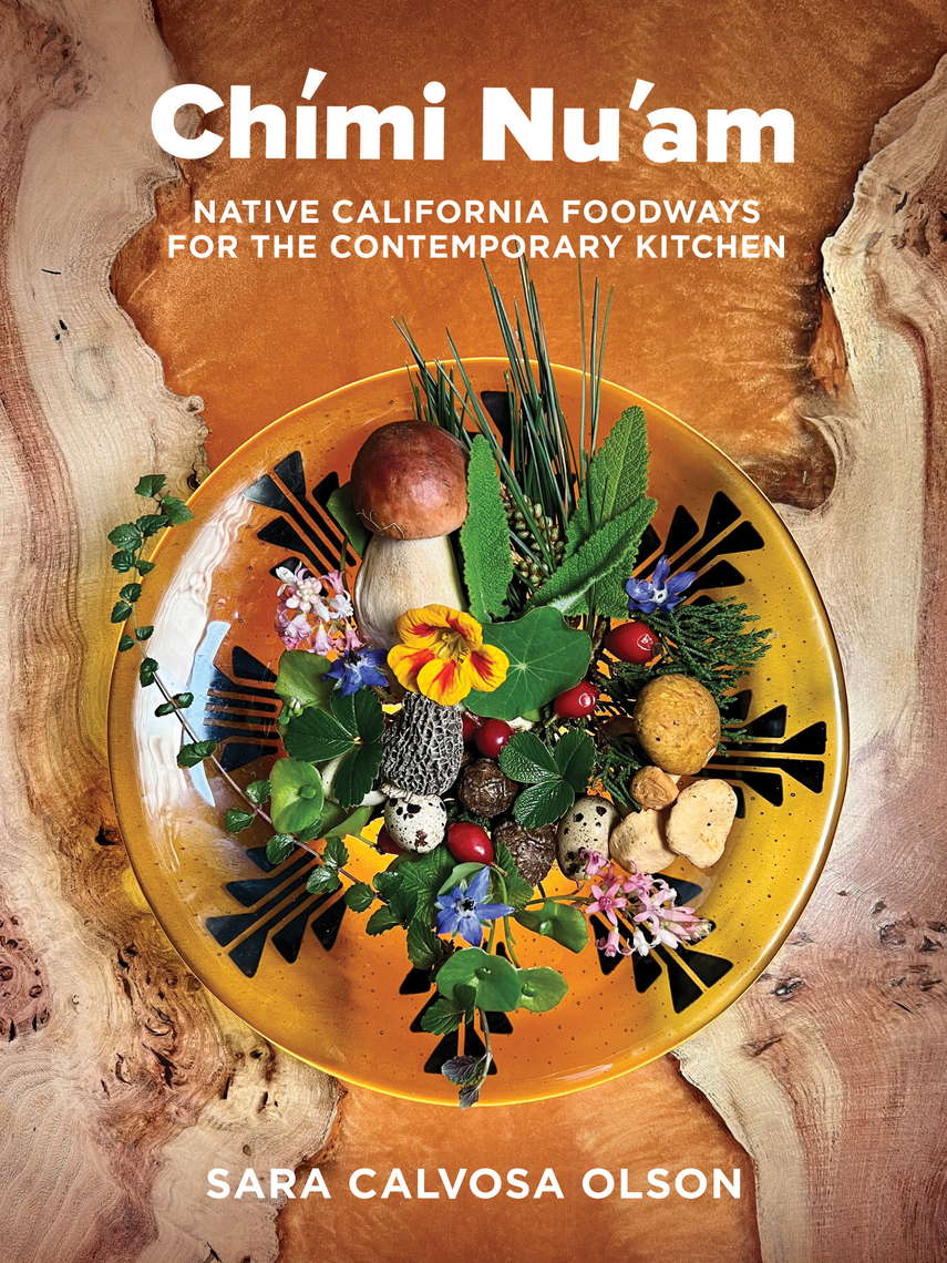 Chími Nu'am by Sara Calvosa Olson (Ebook) - Read free for 30 days