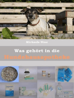 Was gehört in die Hundehausaportheke: Erste Hilfe für den Hund