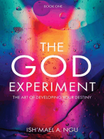 The God Experiment: The Art of Developing Your Destiny