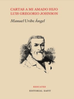 Cartas a mi amado hijo: Luis Gregorio Johnson