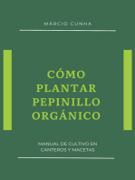 Cómo Plantar Pepinillo Orgánico