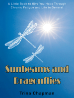 Sunbeams and Dragonflies