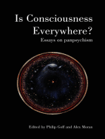 Is Consciousness Everywhere?