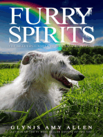 Furry Spirits: The Beautiful Souls of Our Animal Friends