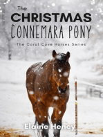 The Christmas Connemara Pony - The Coral Cove Horses Series: Coral Cove Horse Adventures for Girls and Boys, #6